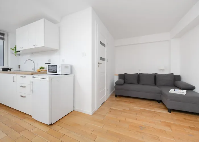 Modern With Functional Furnishings Centre By Renters * Βαρσοβία